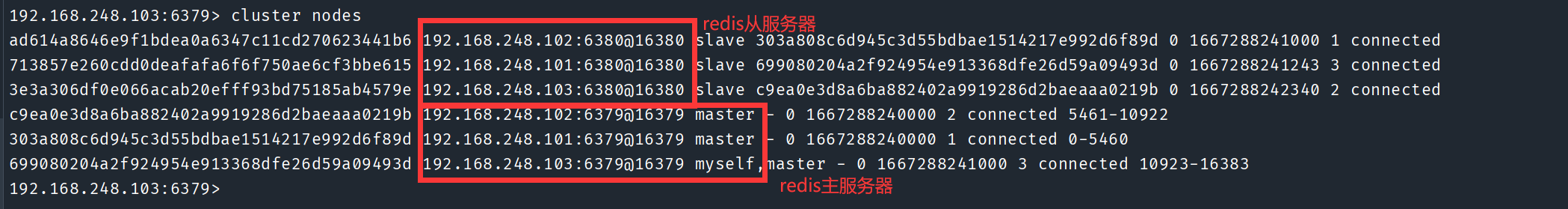 image-20221101155640192