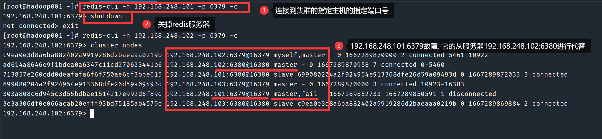 image-20221101160830327