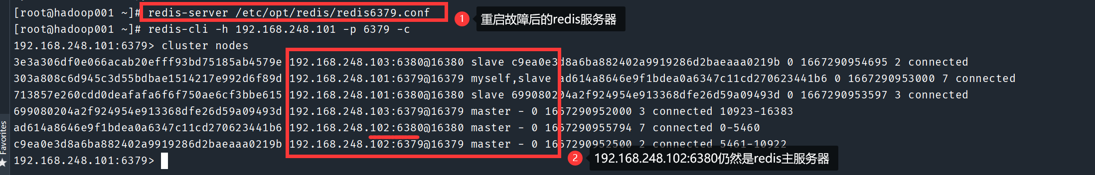 image-20221101162420668