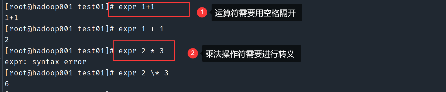 image-20221115192940200