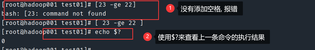 image-20221115205901218